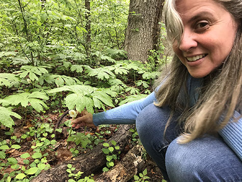 Community works more than a little magic to preserve Baltimore woodlot